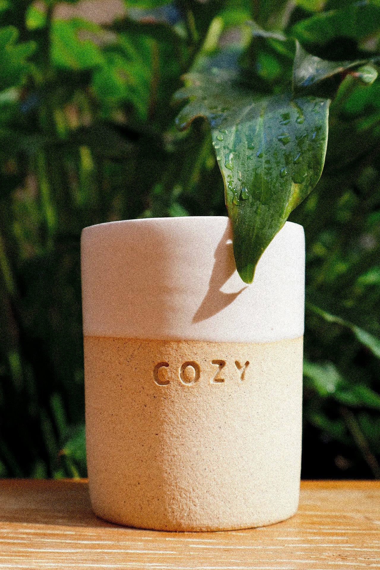 Copo Café COZY